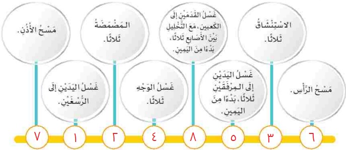 نشاط 2 رقم أفعال الوضوء تبعا لترتيبها الصحيح